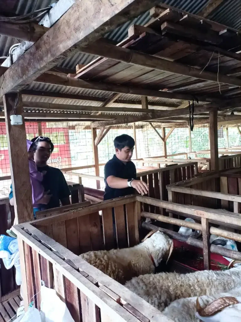 Jasa Aqiqah Terdekat Bogor