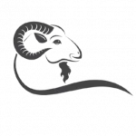 kambing aqiqah bogor kambing qurban bogor kambing guling bogor abah farm