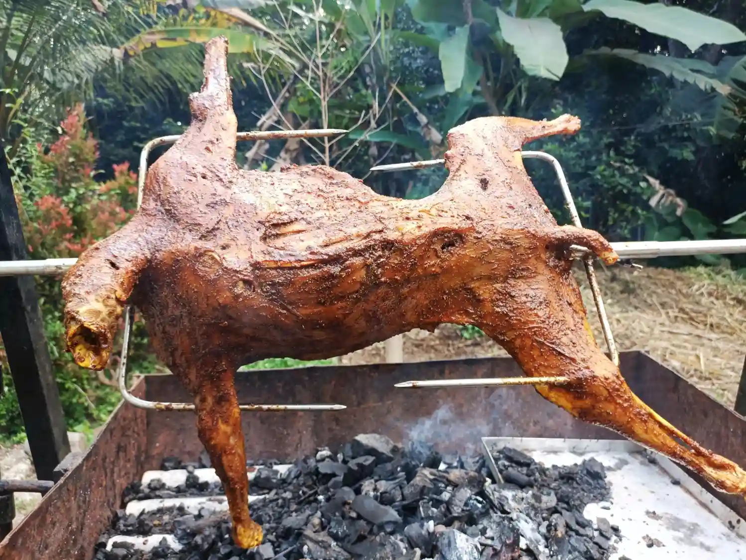 Kambing Guling Bogor Terdekat